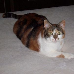 Meet your Posher, Dana